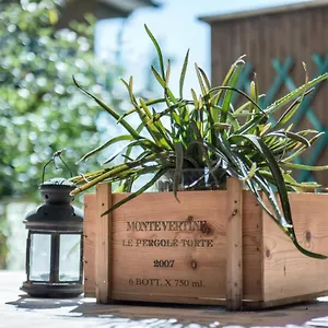  Apartamento Con Giardino Via Silvestri